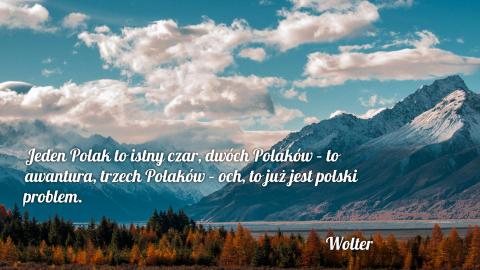 Jeden Polak to istny czar, dwóch Polaków – to awantura, trzech Polaków – och, to już jest polski problem. 